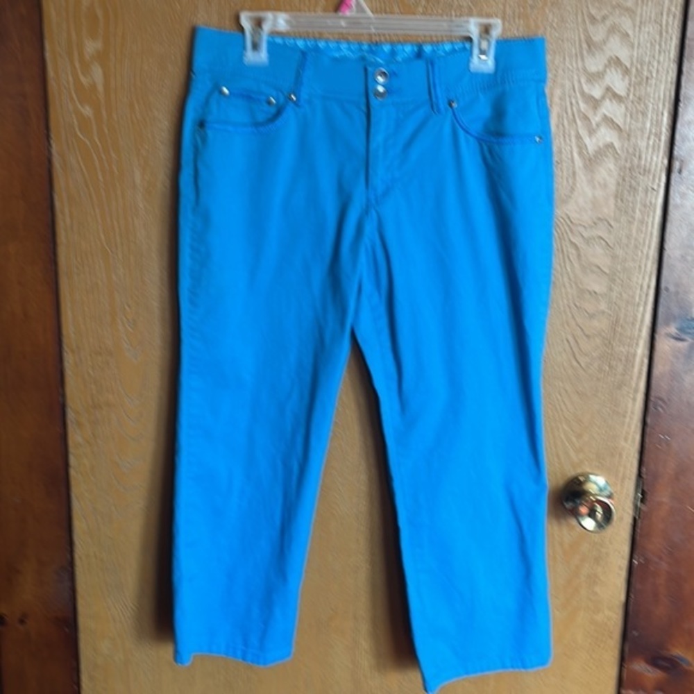 Bandolino Blue Pants Size 8
